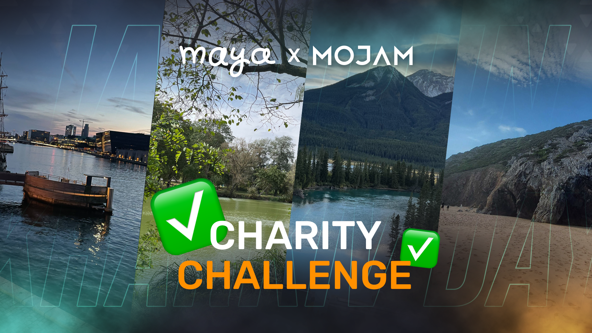 MOJAM Charity: wrapped up with a top-tier result